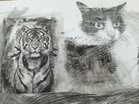 Drawing of cats